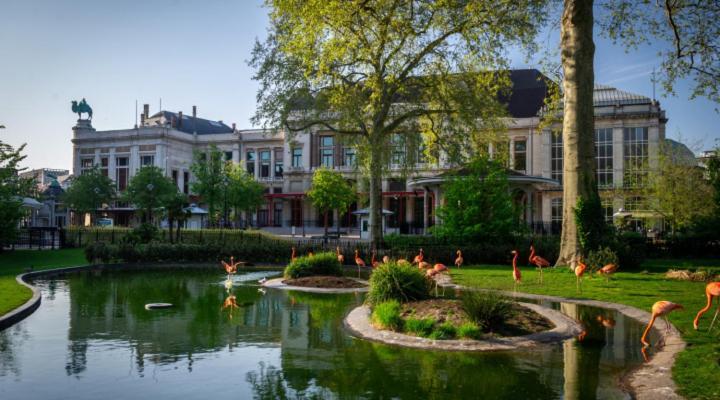 Studio In City Center With Terrace, Netflix - Wifi Antverpy Exteriér fotografie